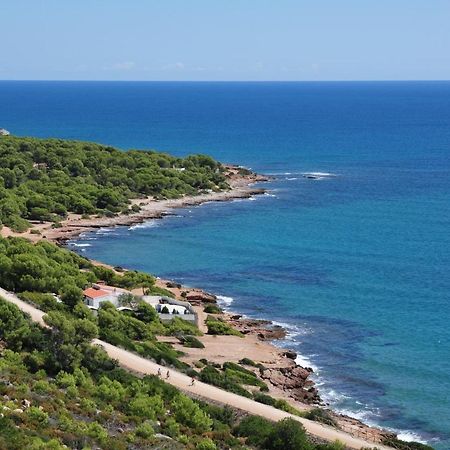 La Casa Del Pompon Lejlighed Benicàssim Eksteriør billede